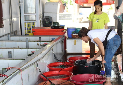 Thu hàng trăm triệu mỗi năm từ nghề nuôi giữ hải sản - ảnh 4