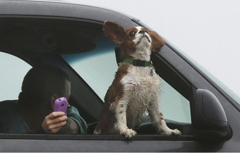 Chùm ảnh: Siêu bão Sandy tàn phá nước Mỹ - ảnh 16