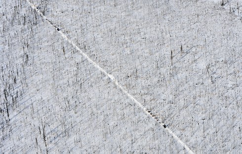 Ảnh đẹp về cuộc đua chó kéo xe ở Alaska - ảnh 5