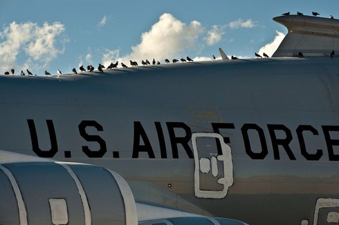 Ngắm 'nghĩa địa' phi cơ hàng khủng của quân đội Mỹ - ảnh 3