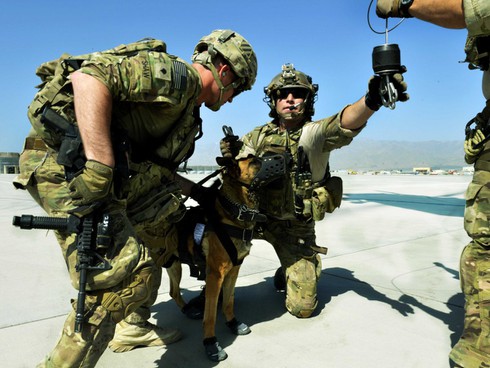 Vất vả như lính phi công Mỹ - ảnh 14