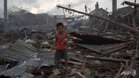 Sau bão Haiyan, 1,5 triệu trẻ em Philippines bị suy dinh dưỡng - ảnh 1