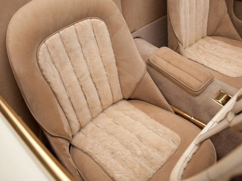 Ngắm ‘đồ cổ 4 bánh’ phủ vàng giá 20 tỷ - ảnh 6