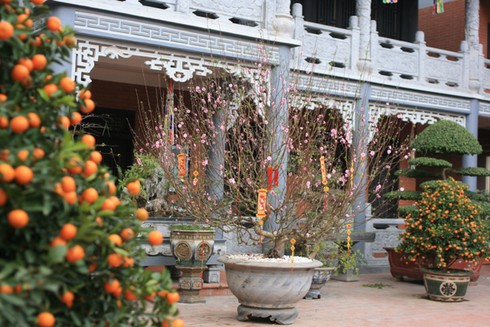 Tịnh tâm vãn cảnh chùa ngày 29 Tết - ảnh 5