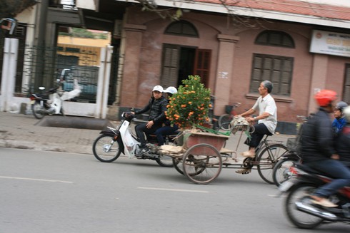 Tịnh tâm vãn cảnh chùa ngày 29 Tết - ảnh 19