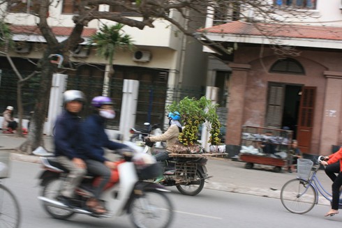 Tịnh tâm vãn cảnh chùa ngày 29 Tết - ảnh 20