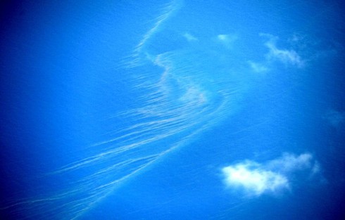 Mới: Việt Nam đã tiếp cận vị trí nghi ngờ có mảnh vỡ máy bay - ảnh 18