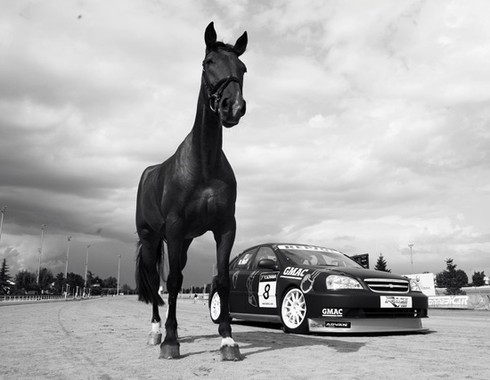 Công suất máy - vì sao lại tính bằng sức ngựa? - ảnh 2
