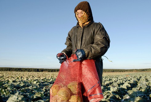 Nga phải trả giá nào cho tình hữu nghị với Trung Quốc? - ảnh 3