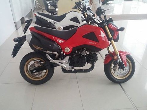 Tại sao đàn ông Việt toàn đi xe máy nữ? - ảnh 3