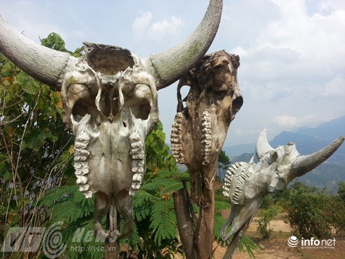 Vùng đất sọ trâu bí ẩn của bộ tộc ít người ở Hà Giang - ảnh 1