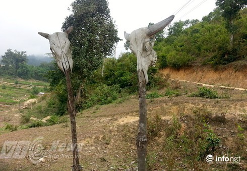 Vùng đất sọ trâu bí ẩn của bộ tộc ít người ở Hà Giang - ảnh 11