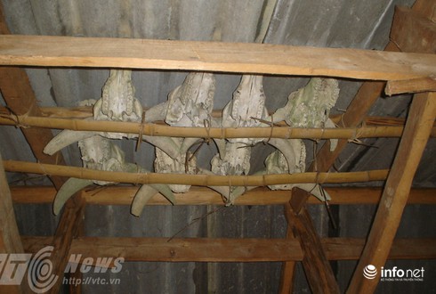 Vùng đất sọ trâu bí ẩn của bộ tộc ít người ở Hà Giang - ảnh 13