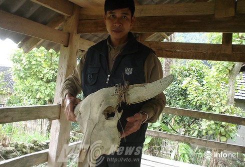 Vùng đất sọ trâu bí ẩn của bộ tộc ít người ở Hà Giang - ảnh 15