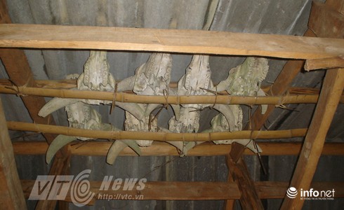 Vùng đất sọ trâu bí ẩn của bộ tộc ít người ở Hà Giang - ảnh 16