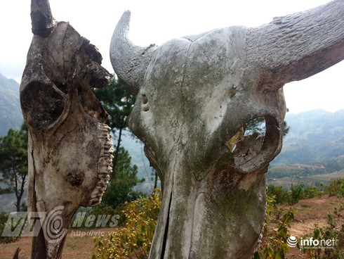 Vùng đất sọ trâu bí ẩn của bộ tộc ít người ở Hà Giang - ảnh 2