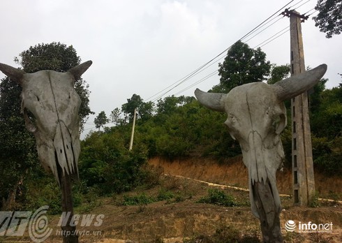 Vùng đất sọ trâu bí ẩn của bộ tộc ít người ở Hà Giang - ảnh 9