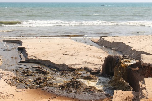 Dùng phân làm rượu và thuốc chữa bệnh! - ảnh 1