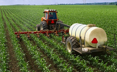 Dùng phân làm rượu và thuốc chữa bệnh! - ảnh 2