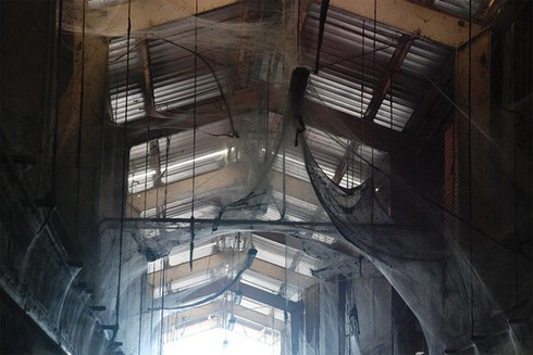 Ổ nhện khổng lồ hàng trăm triệu con ở trạm xử lý nước thải - ảnh 4