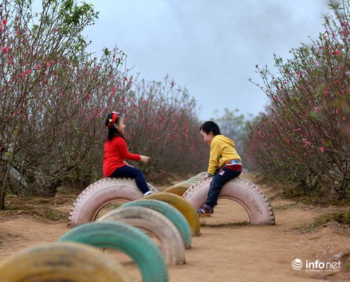 “Mai, 26 âm lịch, chồng tôi đưa vợ con về ngoại ăn tết” - ảnh 1