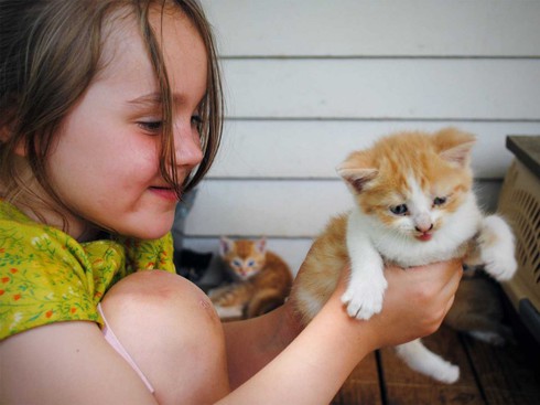 9 dấu hiệu của một người thông minh - ảnh 5