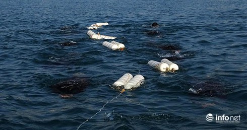 Đặc công nước khổ luyện nơi biển biếc - ảnh 7