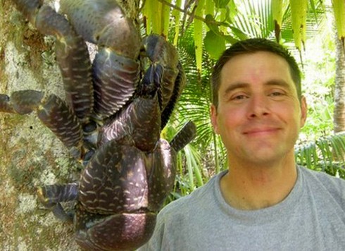 Kinh ngạc loài cua biết leo cây thoăn thoắt, bổ dừa kiếm ăn - ảnh 10