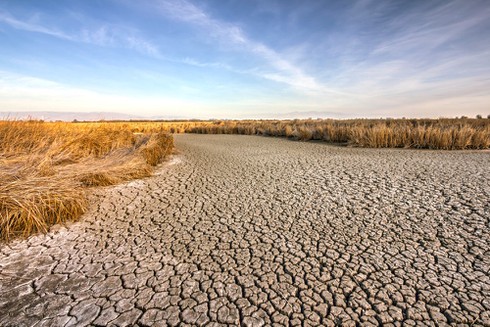 Tháng 6/2015 là tháng Sáu nóng nhất trong 135 năm qua - ảnh 2