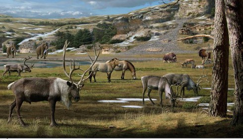 Voi ma mút tuyệt chủng không phải do con người - ảnh 2