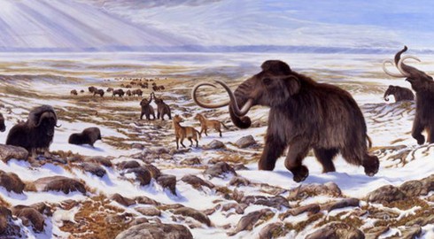 Voi ma mút tuyệt chủng không phải do con người - ảnh 1