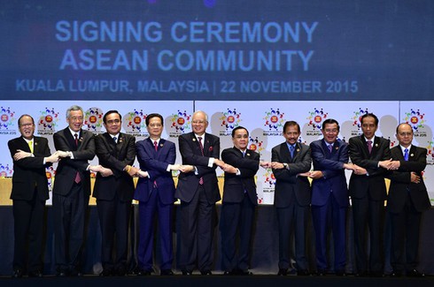 ASEAN nên lập những liên minh mặt hàng - ảnh 1