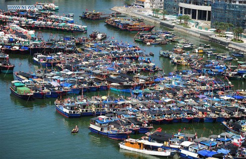 Bộ Ngoại giao lên tiếng về lệnh cấm đánh bắt cá của Trung Quốc ở Biển Đông - ảnh 1