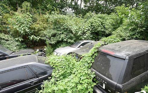 Sửng sốt trước “nghĩa địa” siêu xe ở Thành Đô, Trung Quốc - ảnh 1