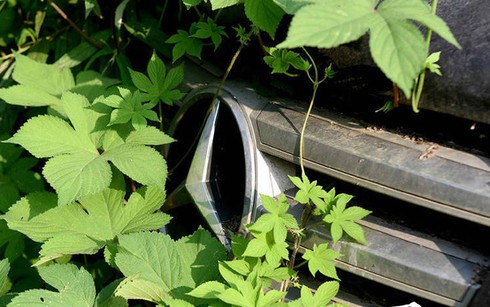 Sửng sốt trước “nghĩa địa” siêu xe ở Thành Đô, Trung Quốc - ảnh 2