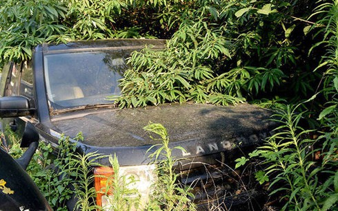 Sửng sốt trước “nghĩa địa” siêu xe ở Thành Đô, Trung Quốc - ảnh 4