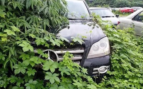 Sửng sốt trước “nghĩa địa” siêu xe ở Thành Đô, Trung Quốc - ảnh 6