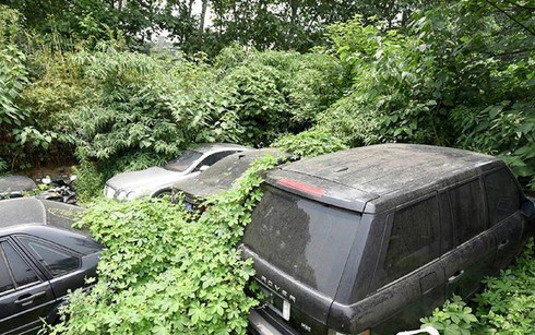 Sửng sốt trước “nghĩa địa” siêu xe ở Thành Đô, Trung Quốc - ảnh 8