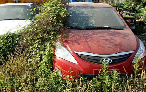 Sửng sốt trước “nghĩa địa” siêu xe ở Thành Đô, Trung Quốc - ảnh 9