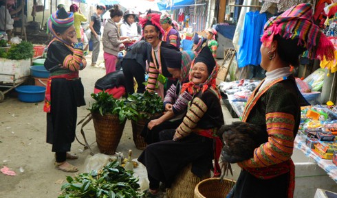 Tổng kết 4 năm giai đoạn đầu thực hiện mục tiêu giảm nghèo ở vùng dân tộc thiểu số - ảnh 1