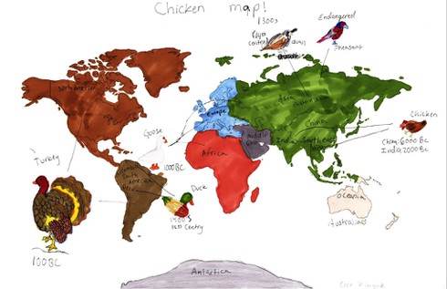 [Tết 2017] Loài gà đã thống trị thế giới như thế nào? - ảnh 5