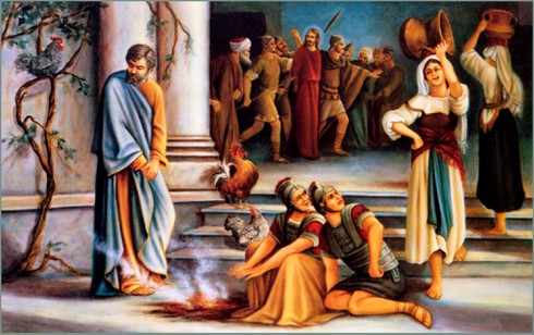 [Tết 2017] Loài gà đã thống trị thế giới như thế nào? - ảnh 3