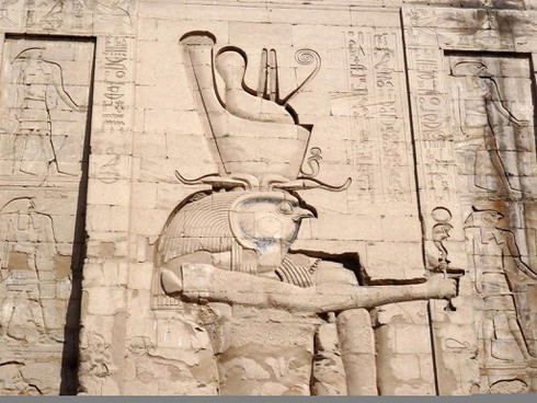 [Tết 2017] Loài gà đã thống trị thế giới như thế nào? - ảnh 2