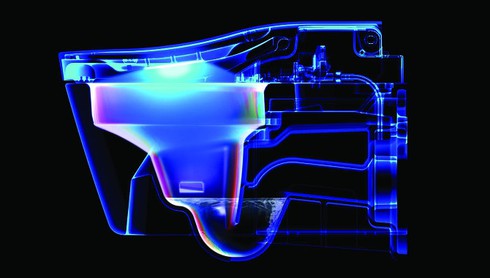 Nhà vệ sinh trị giá hơn 250 triệu đồng có gì? - ảnh 1