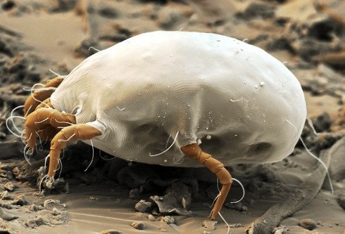 Chuyện thú vị xung quanh những đồ vật quen thuộc quanh ta - ảnh 3