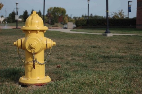 Chuyện thú vị xung quanh những đồ vật quen thuộc quanh ta - ảnh 8