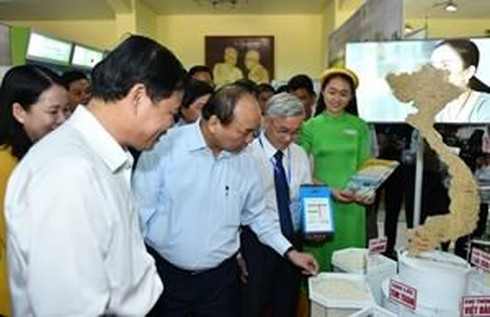 Thủ tướng: Cần một tầm nhìn mới cho hạt gạo - ảnh 2