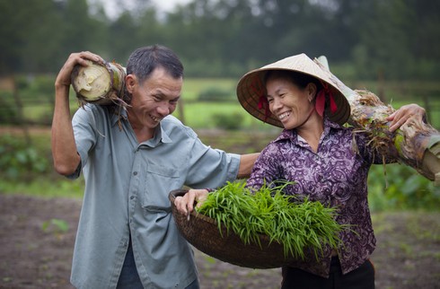 Câu chuyện cảm động đằng sau bức ảnh vợ chồng sẻ chia công việc - ảnh 1
