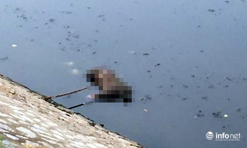 Phát hiện thi thể người đàn ông nổi trên sông Tô Lịch - ảnh 1