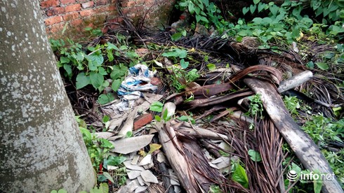 Cô gái bị thầy cúng sát hại, ném xác sang vườn nhà hàng xóm vì 160 triệu đồng? - ảnh 3